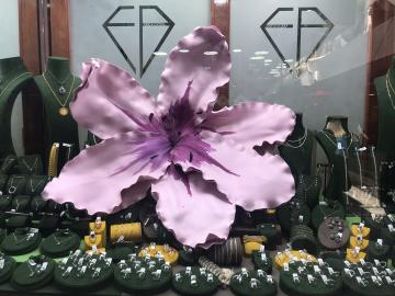Eva Orkide Bloom